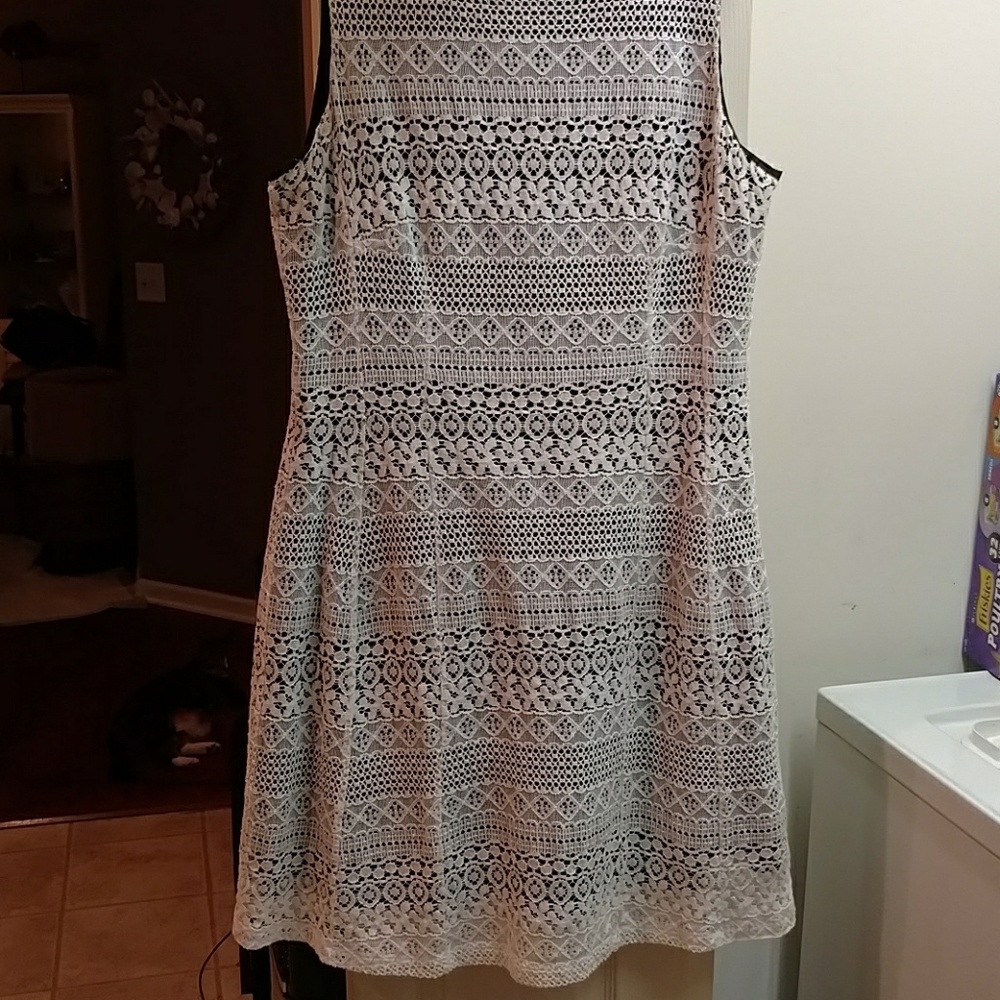 New york and Co.white lacey cotton/nylon dress